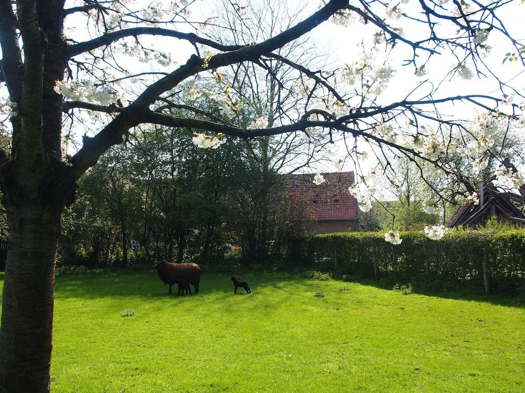 Grote Goesting Holiday House Wevelgem Εξωτερικό φωτογραφία